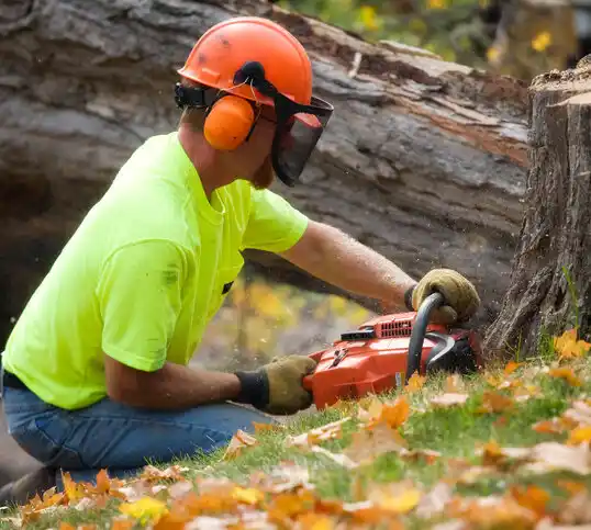 tree services Pomona